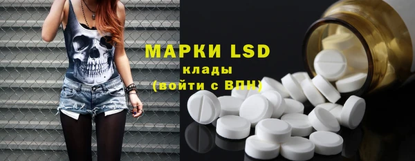 ПСИЛОЦИБИНОВЫЕ ГРИБЫ Беломорск