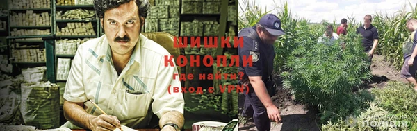 ПСИЛОЦИБИНОВЫЕ ГРИБЫ Беломорск