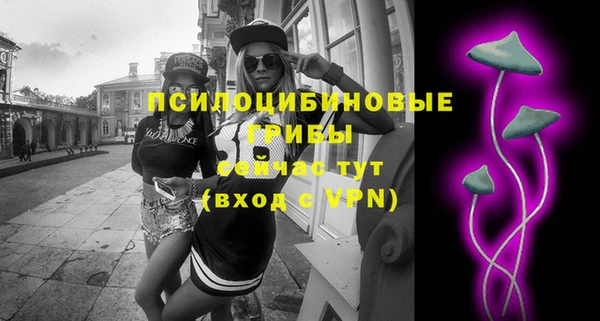 марки nbome Белокуриха