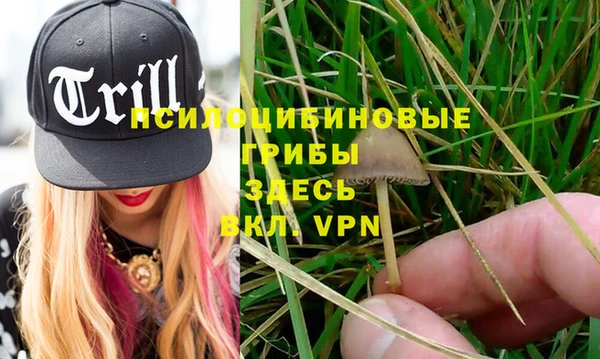 spice Белоозёрский